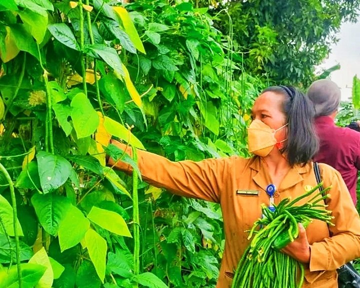 Urban Farming: Strategi Pemenuhan Pangan Dalam Ruang Terbatas Perkotaan ...