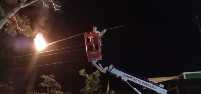 petugas memusnahkan 19 sarang tawon yang membahayakan keselamatan warga