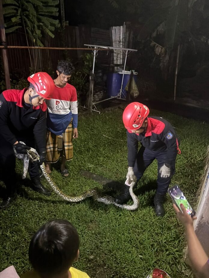 Tim rescue Dinas Pemadam Kebakaran dan Penyelamatan (Disdamkartan) Bontang