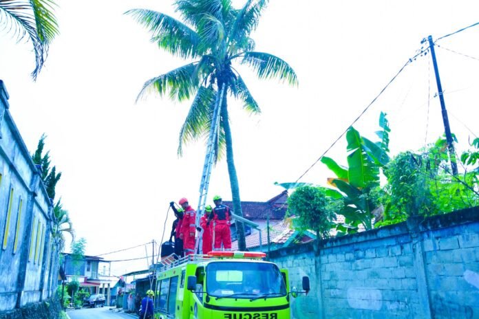 Dinas Pemadam Kebakaran dan Penyelamatan (Disdamkartan) Kota Bontang