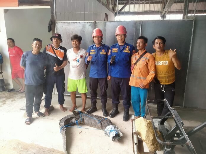 Dinas Pemadam Kebakaran dan Penyelamatan (Disdamkartan) Kota Bontang.