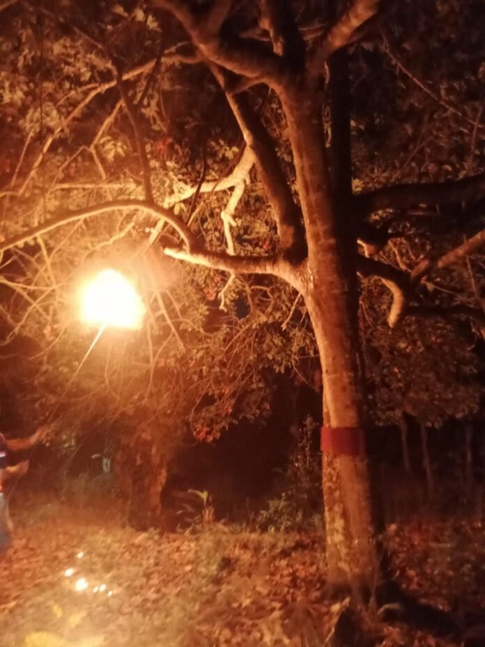 Dinas Pemadam Kebakaran dan Penyelamatan (Disdamkartan) Bontang