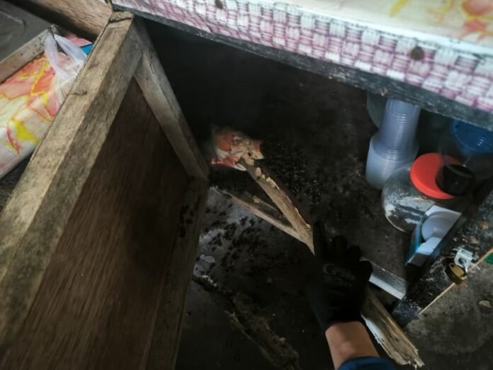 Dinas Pemadam Kebakaran dan Penyelamatan (Disdamkartan) Kota Bontang.