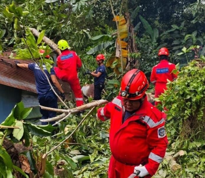 Dinas Pemadam Kebakaran dan Penyelamatan (Disdamkartan) Kota Bontang.
